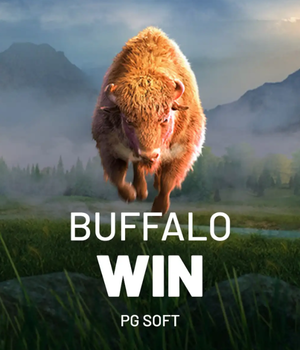 Buffalo Win